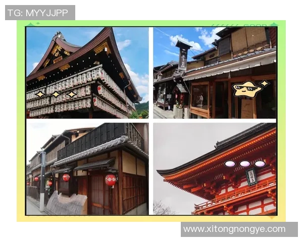 京都与千叶原市的文化碰撞与城市魅力探秘之旅