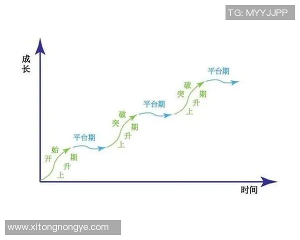 代怀博的成长之路与未来展望：从挑战到机遇的精彩旅程