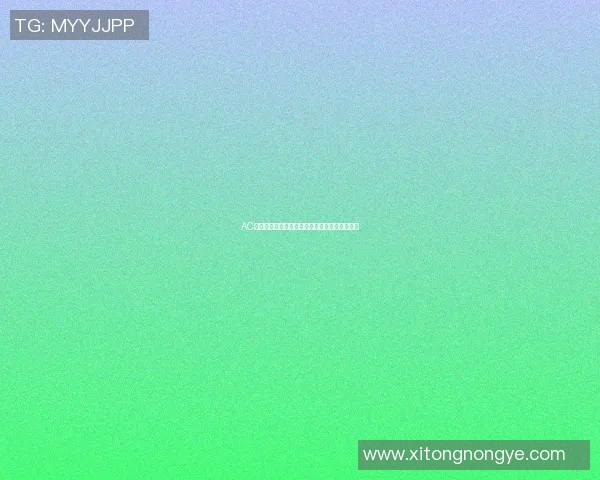 AC米兰与拉齐奥历史交锋战绩回顾及精彩瞬间分析